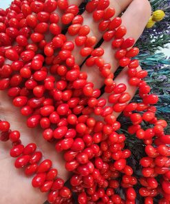 5 MM Damla Mercan Doğal Taşı