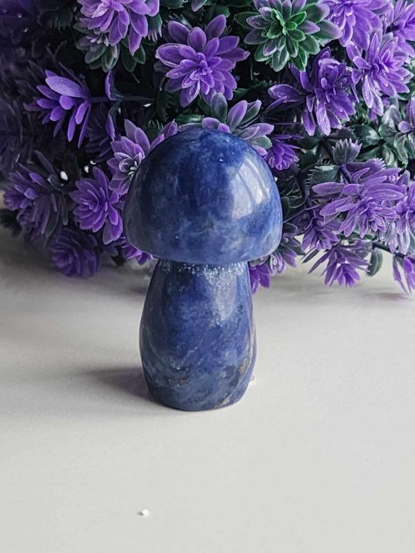 Mantar Lapis Taşı Masaüstü Aksesuarı