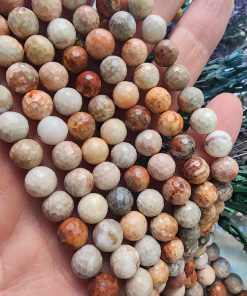 8 MM Fasetli Fosil Mercan Taşı